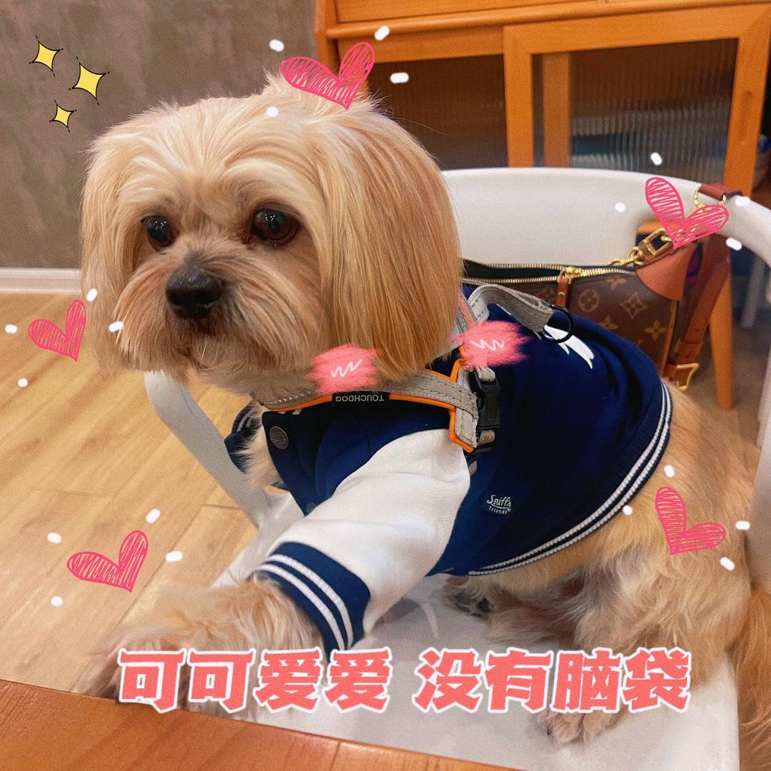 阿静