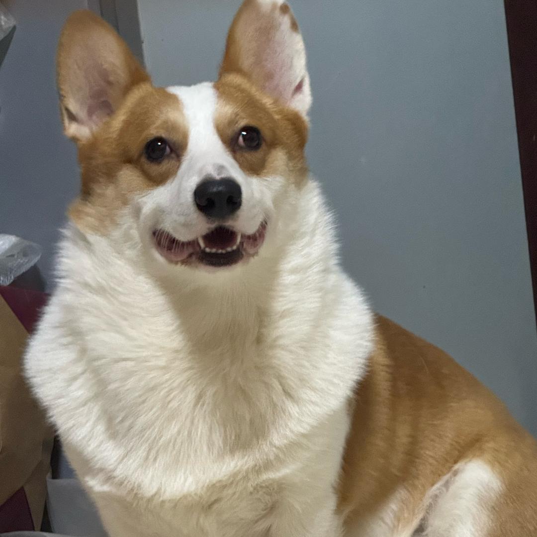 韩