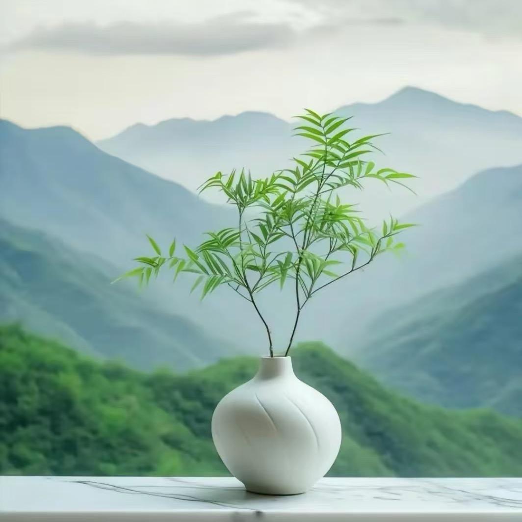 萍水相逢