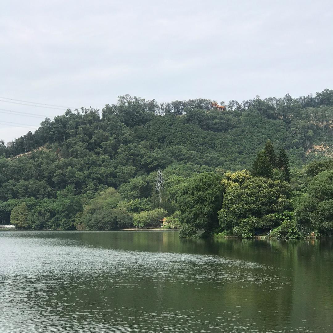 十三太保