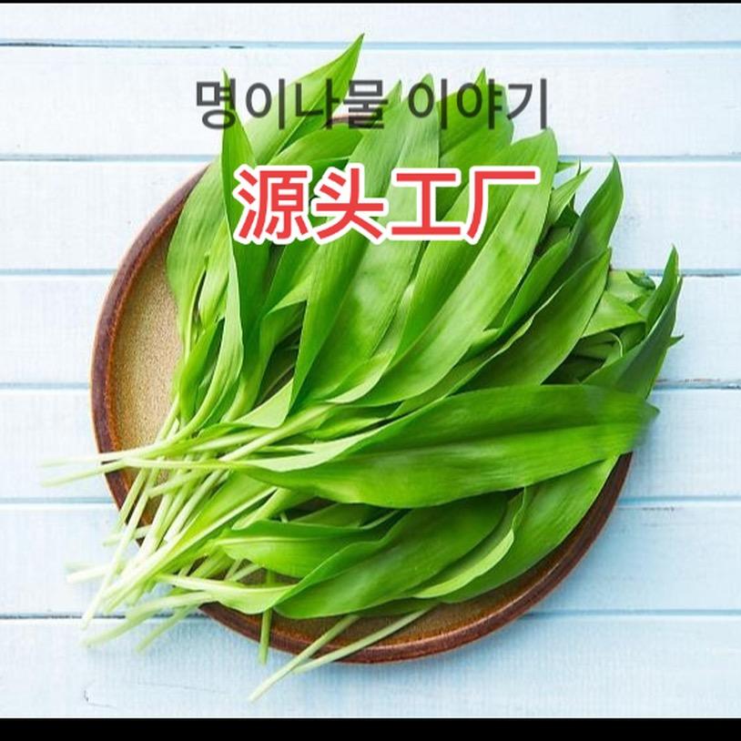 山葱叶~명이나물~野山菜