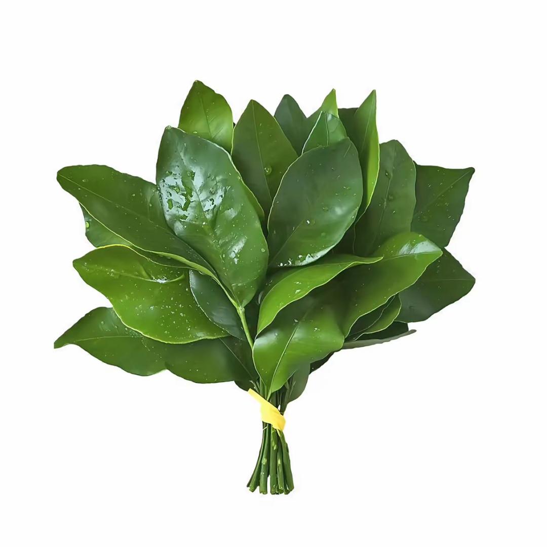 柚子.