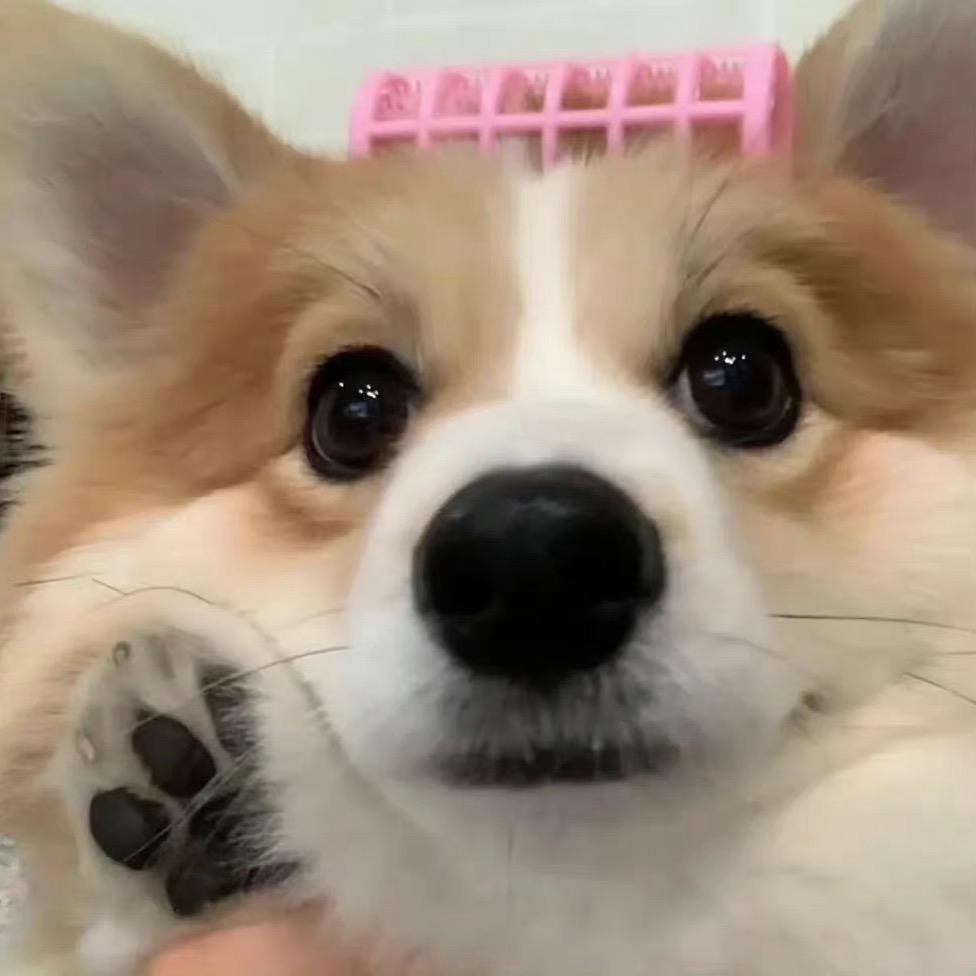 皂