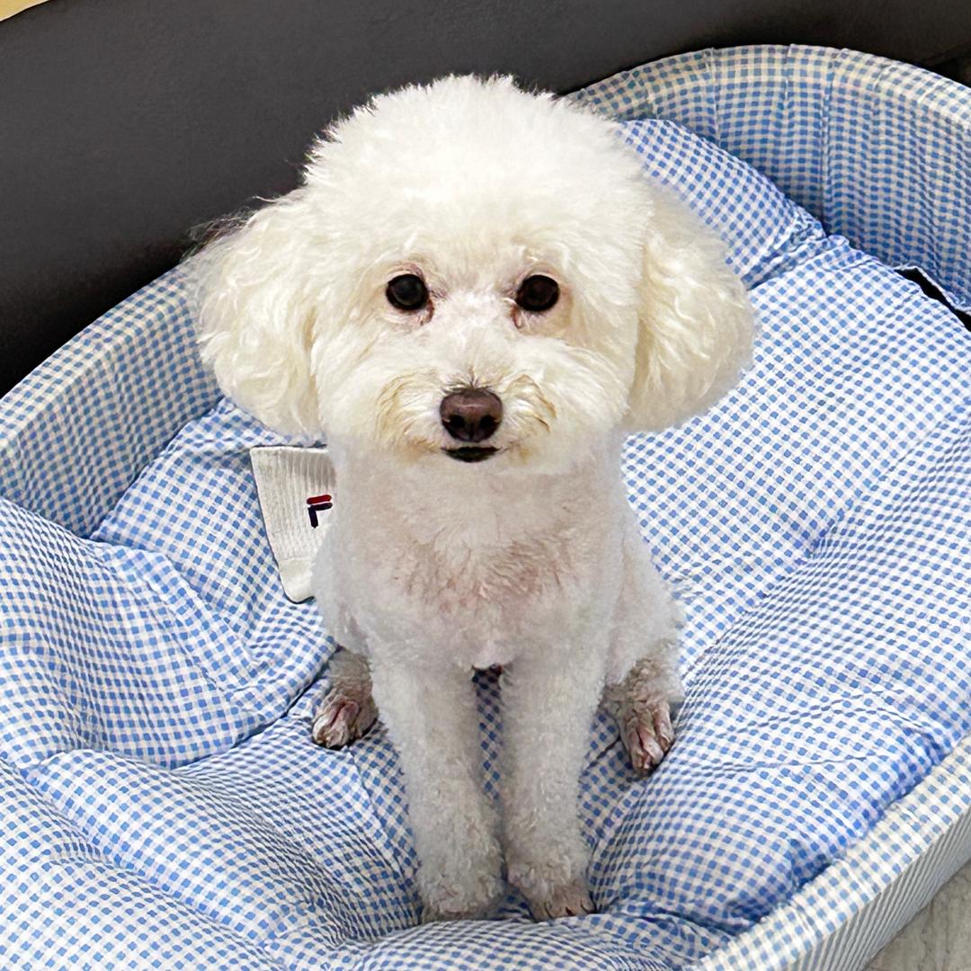 小小的我💋的头像