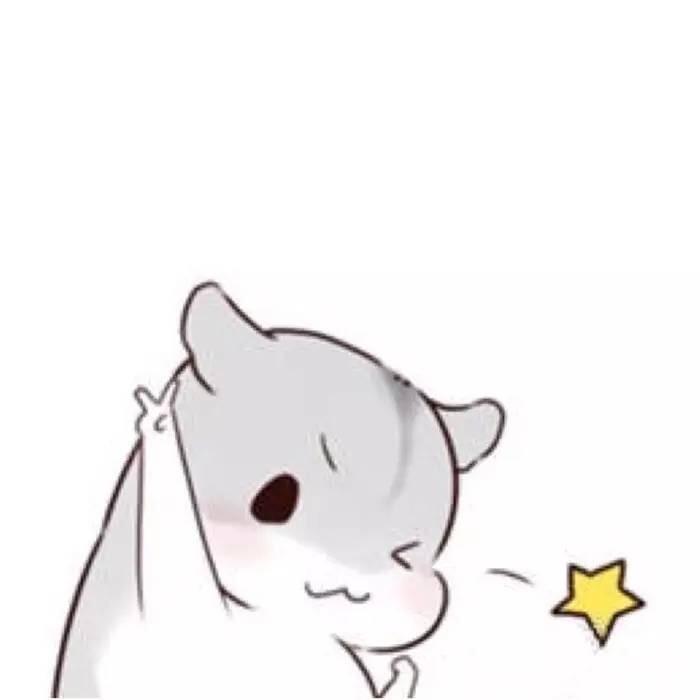 小罗学姐的橱窗