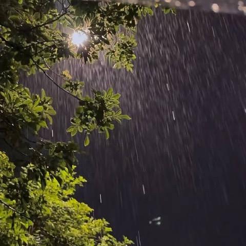 雨声助眠