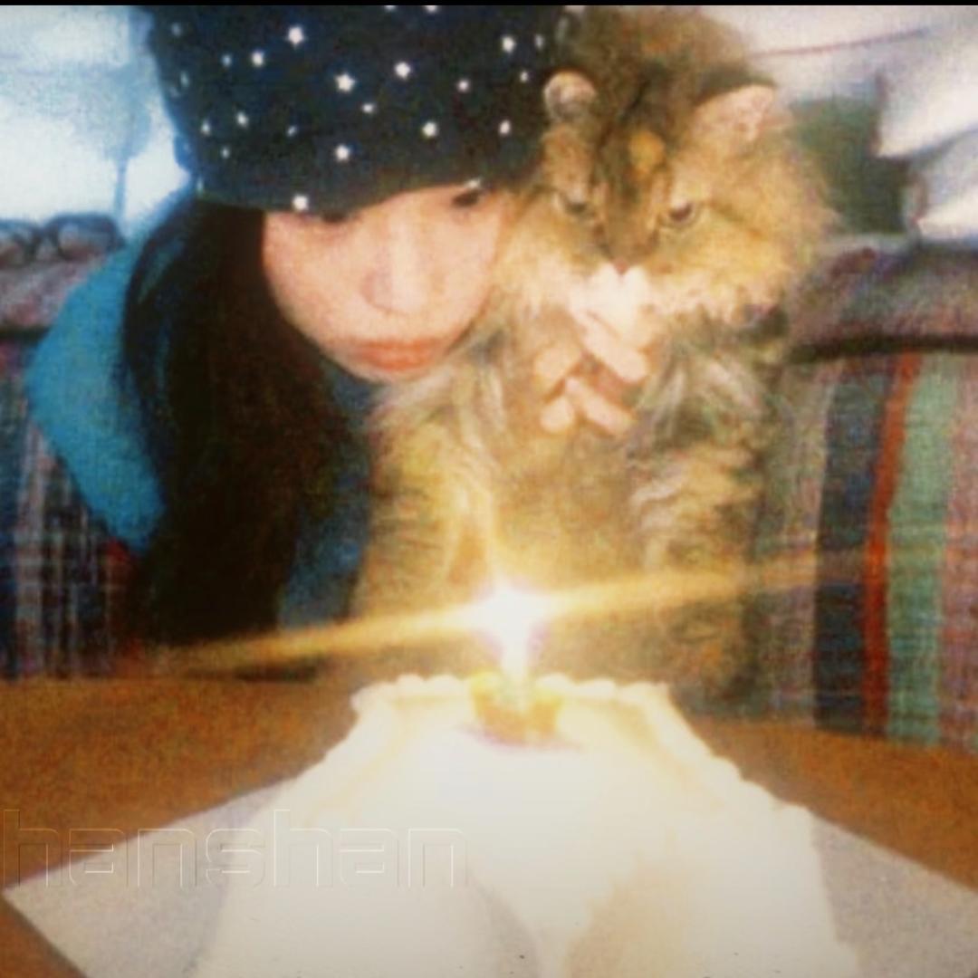 小胡教练（华发官方教练版）