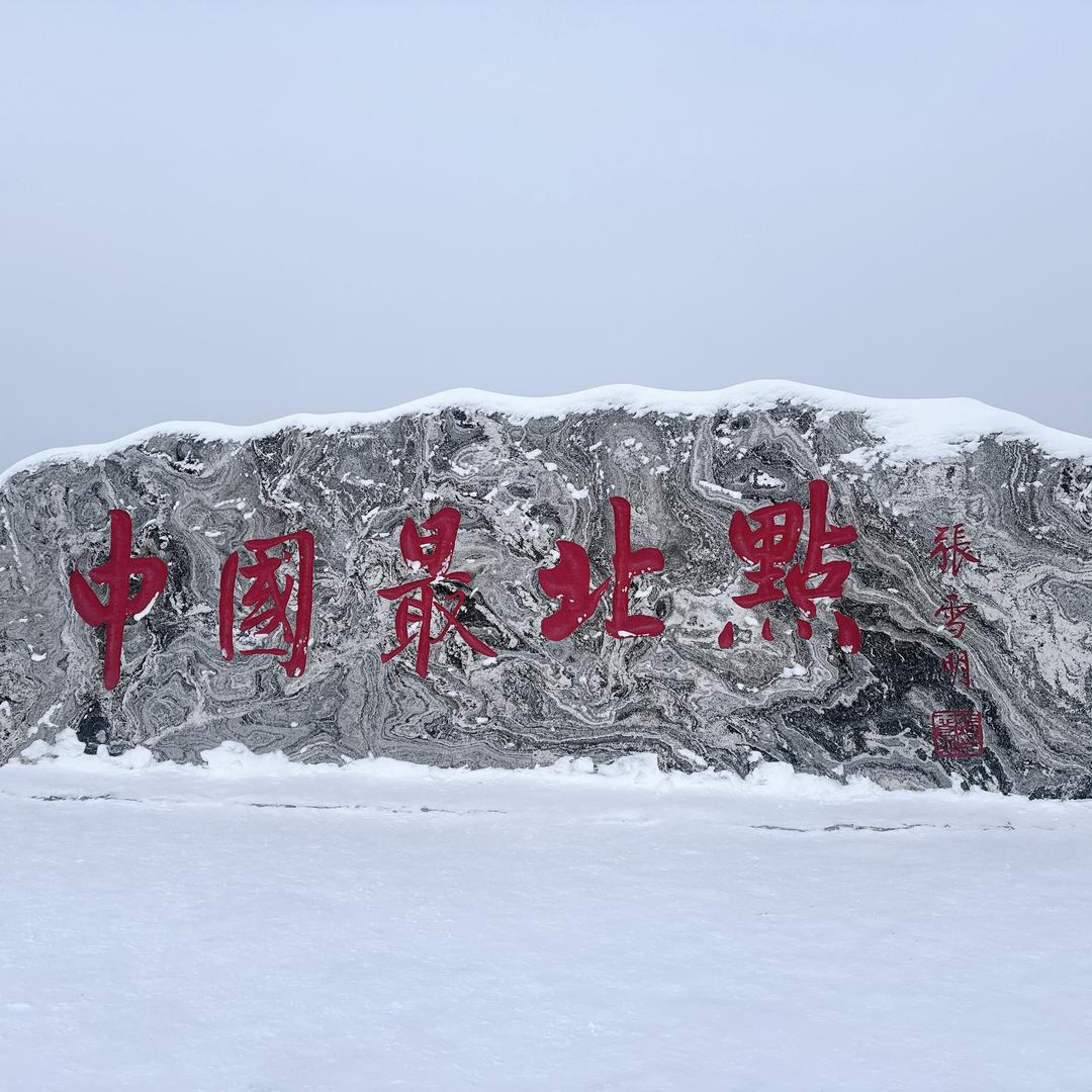皮王