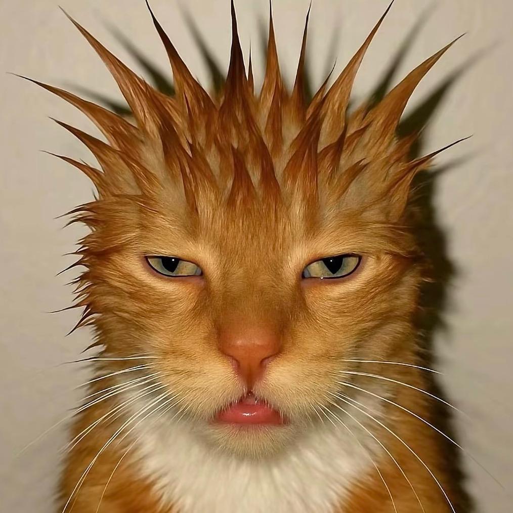 •᷄ᯅ•᷅