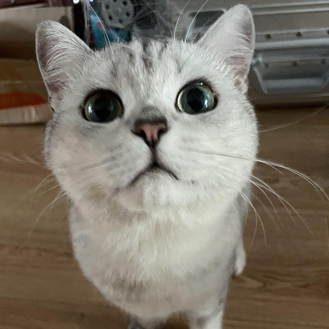 神也用先用后付