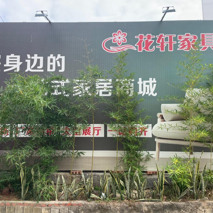 长泰花轩家具店