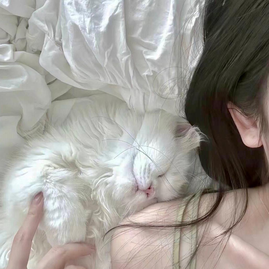 心善小心