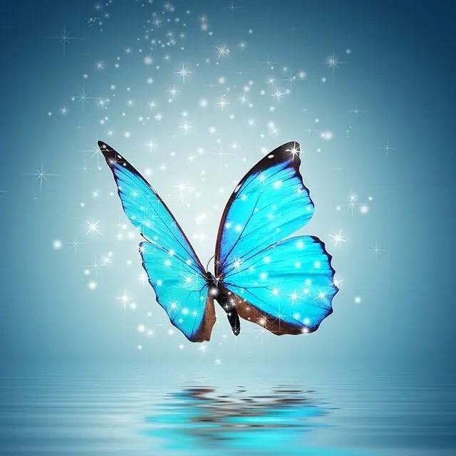 唯蜜瘦总代