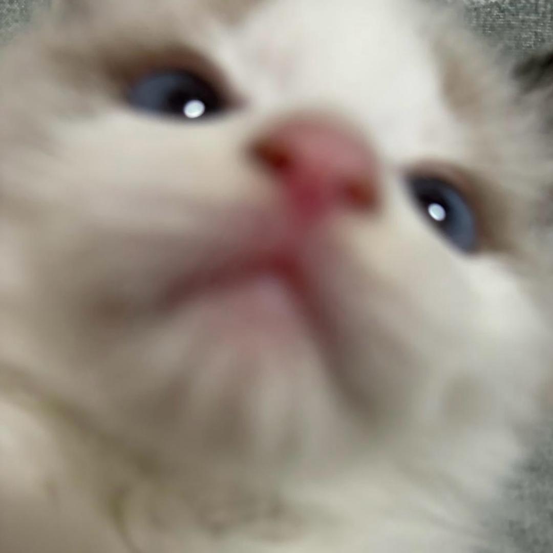 A-興