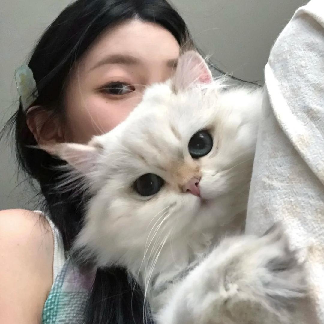 喜喜儿