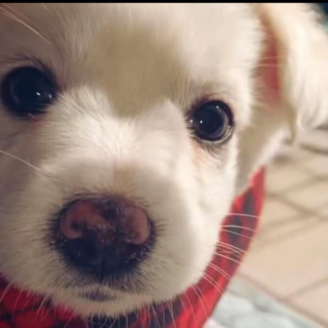 晚安 没有你的小世界