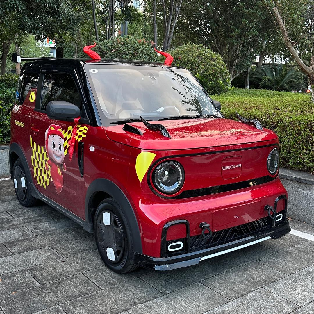 大萝卜的熊猫mini