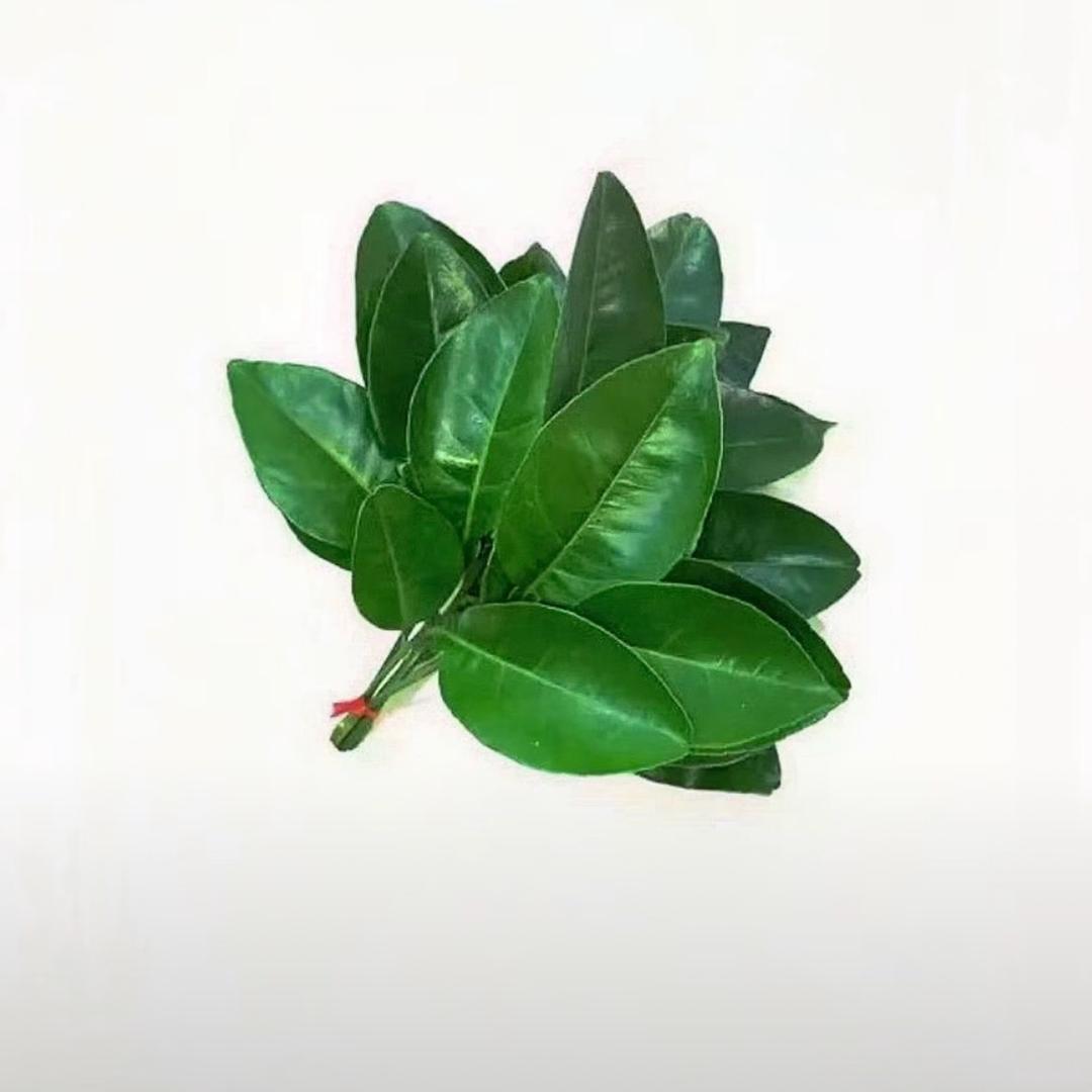 快去拯救世界.