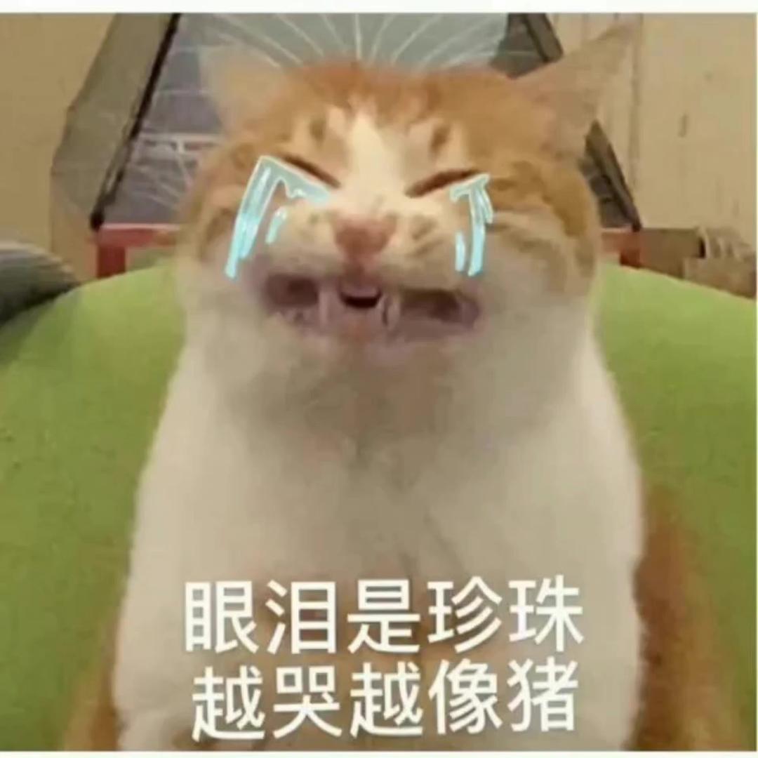 吃点吧张富贵