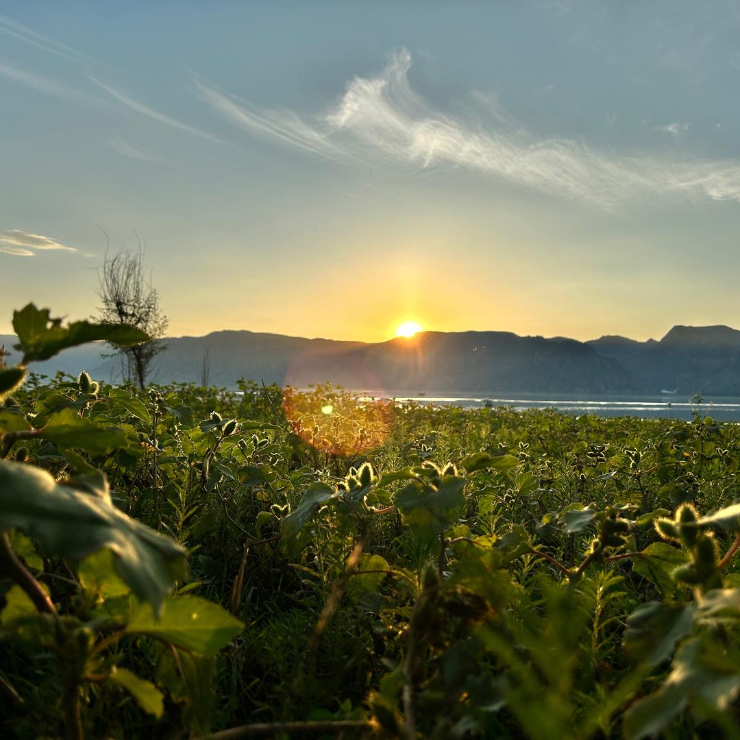 ❤️༺༃小丑༃༻❤️