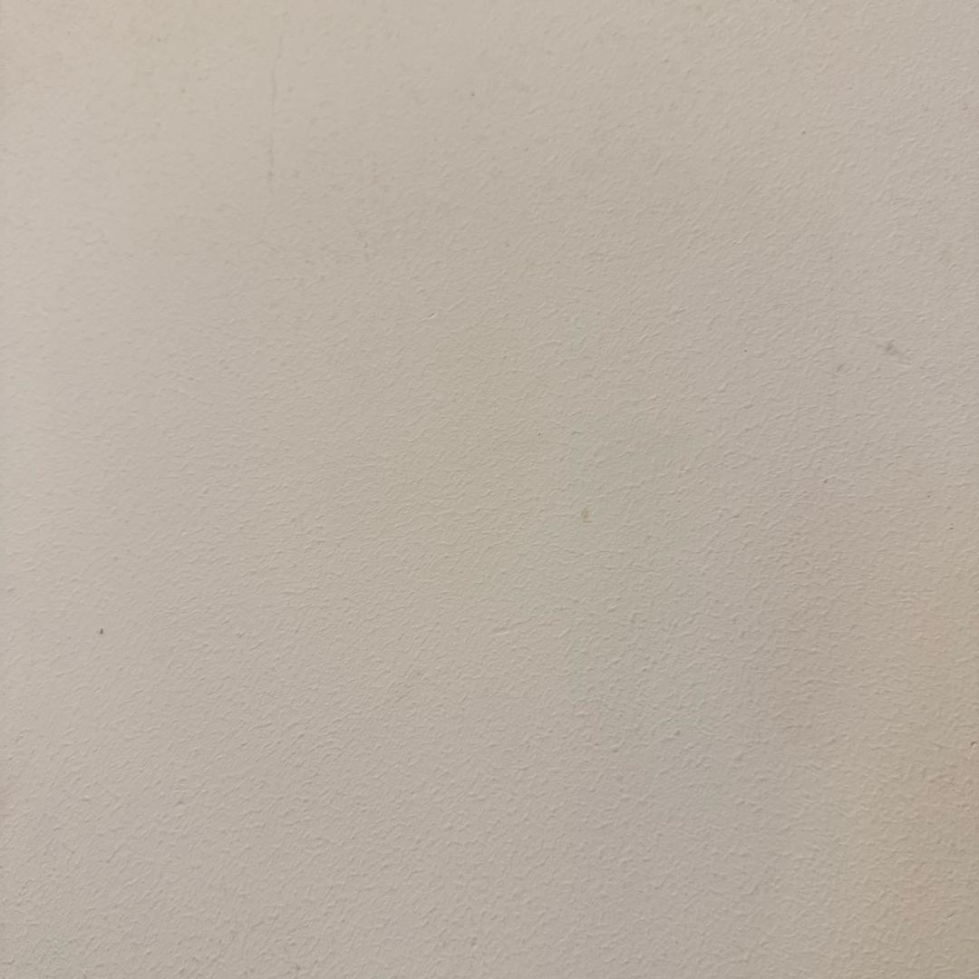 豆豆子