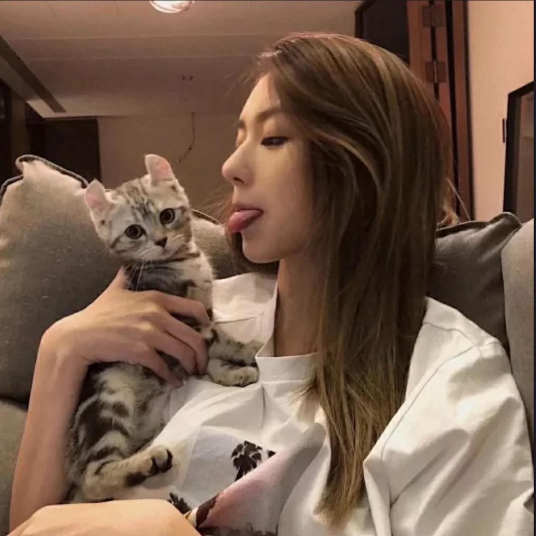 李_莫嘲