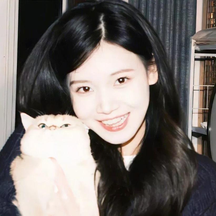 .话梅味宿鱼.（何时能一直追逐夏天）