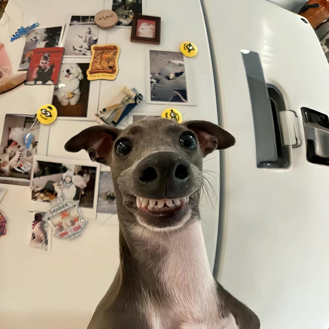 春