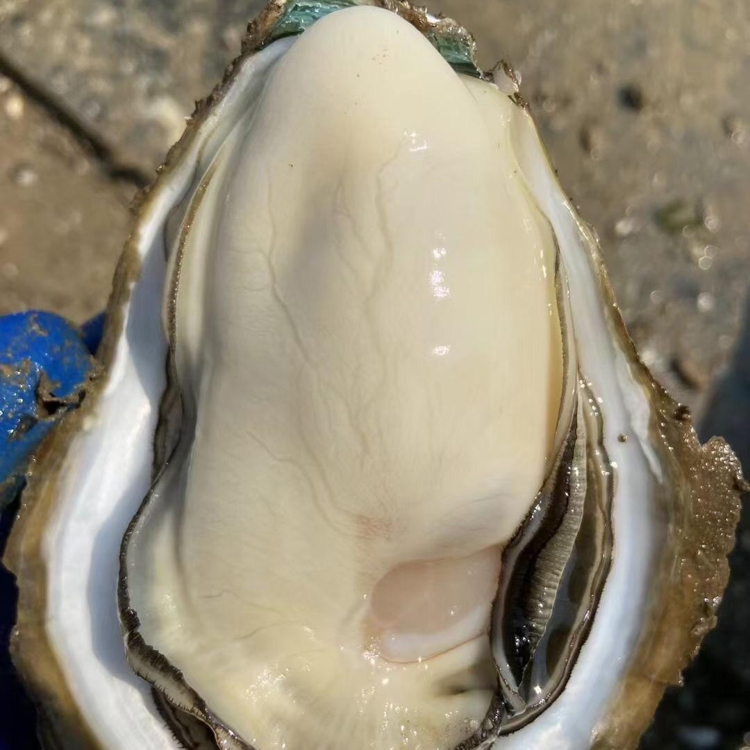 广东_湛江