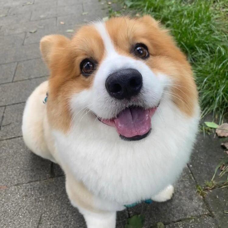 孤独患者