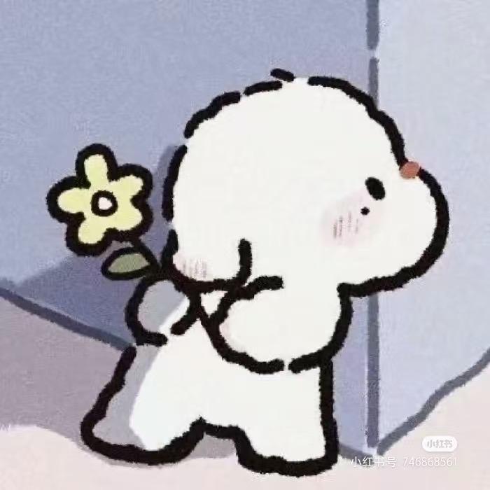 阿丽的阿龙
