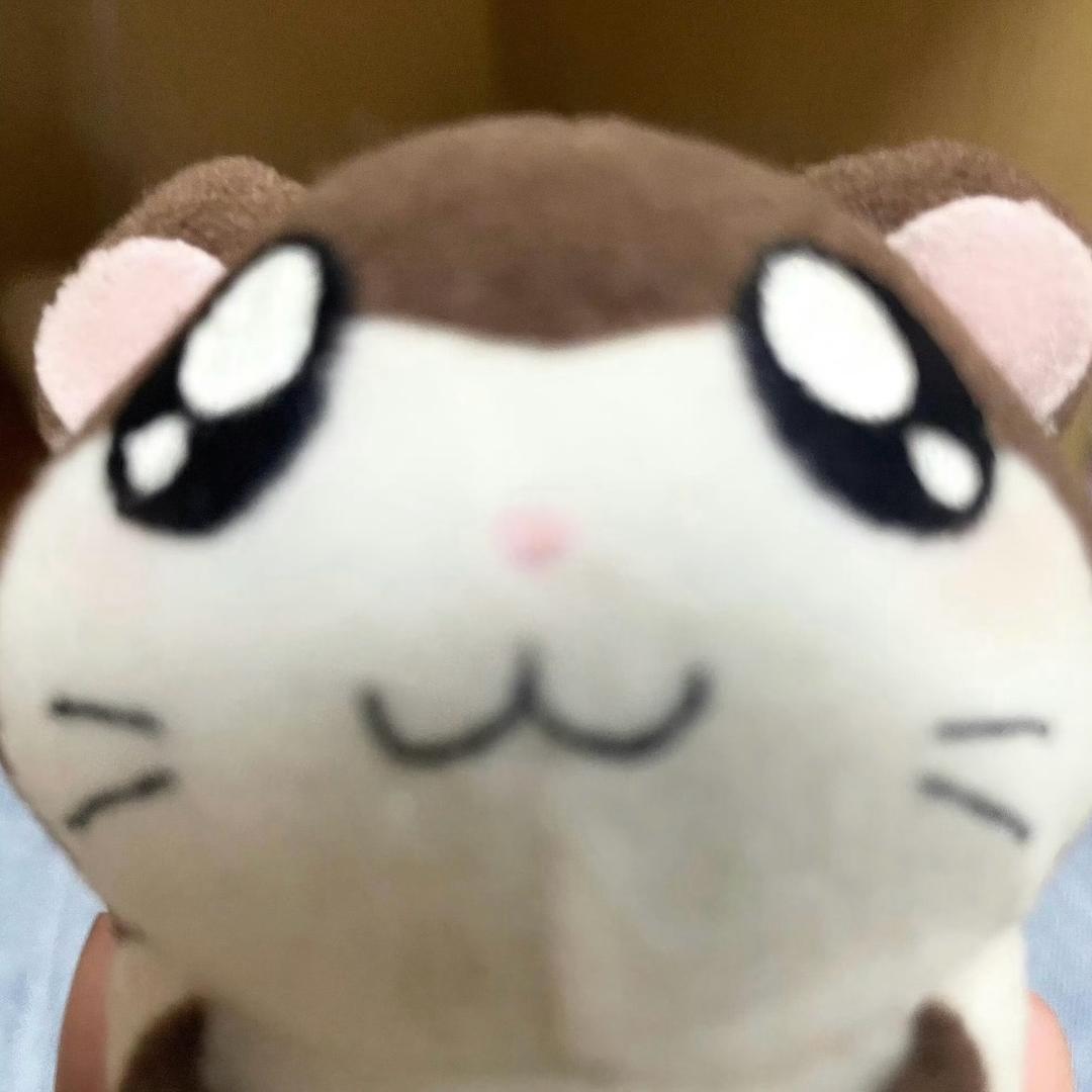 一只困困羊