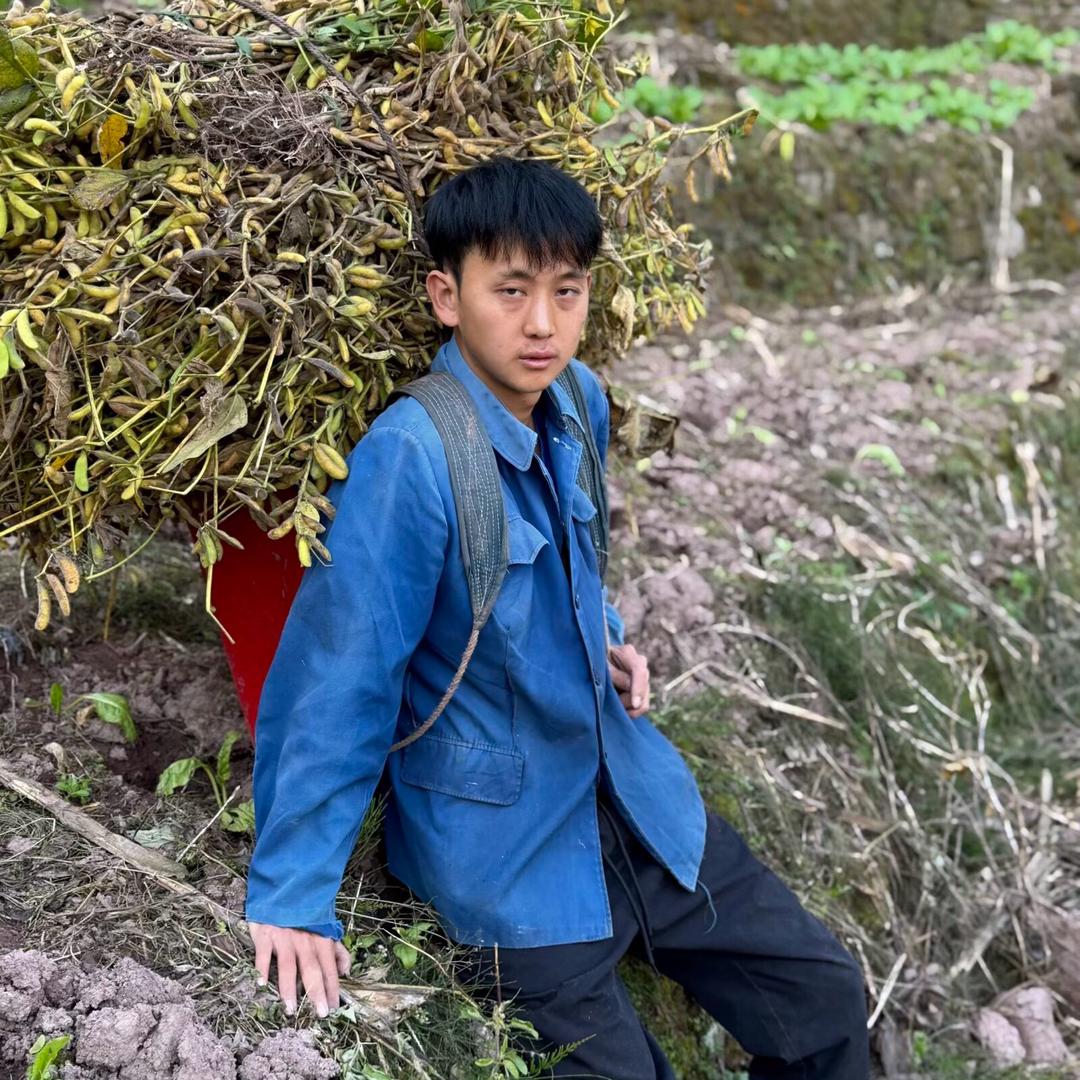 @衡娃🦻（西骑记）