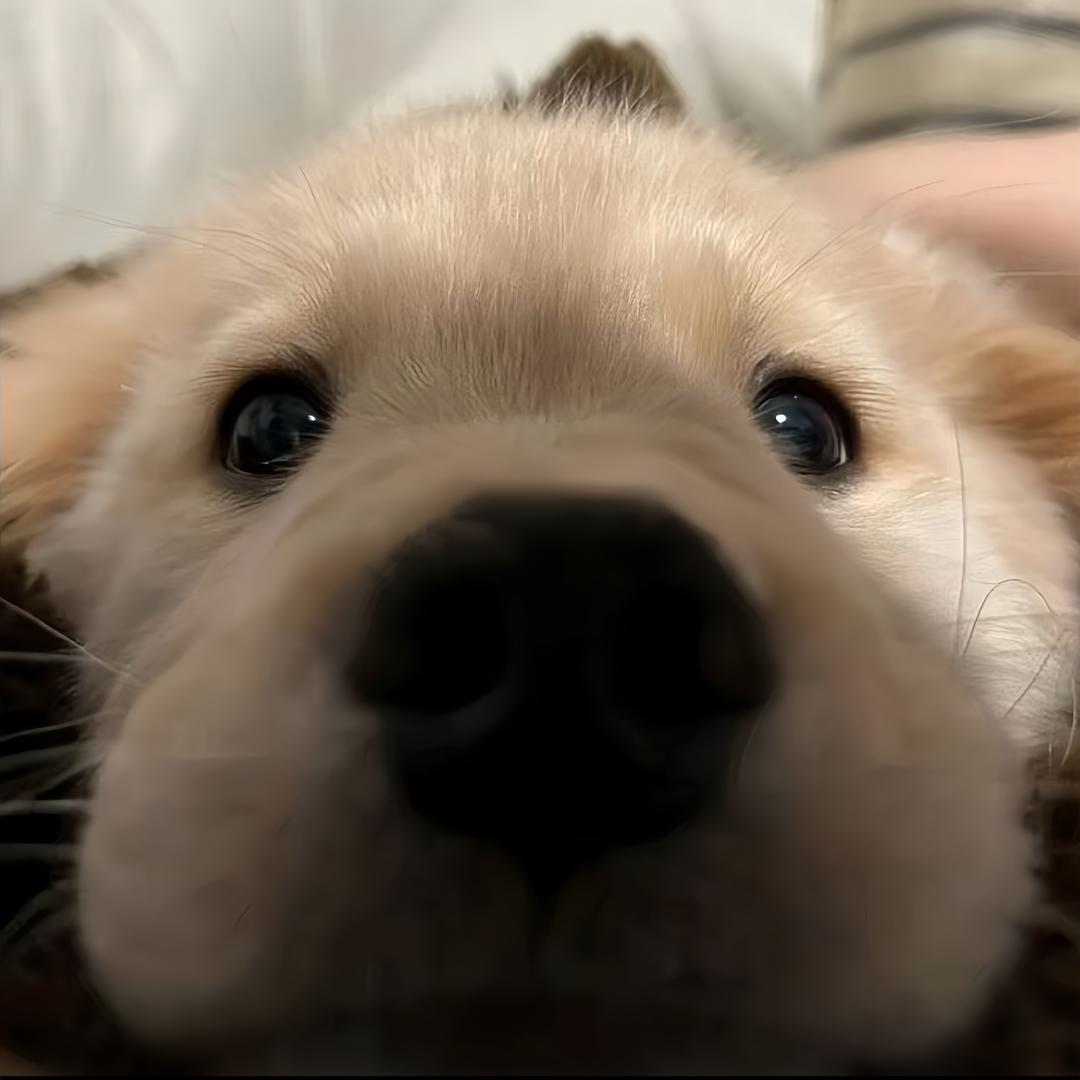 泪痣
