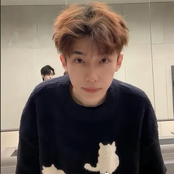 笨笨 （术后康复版）