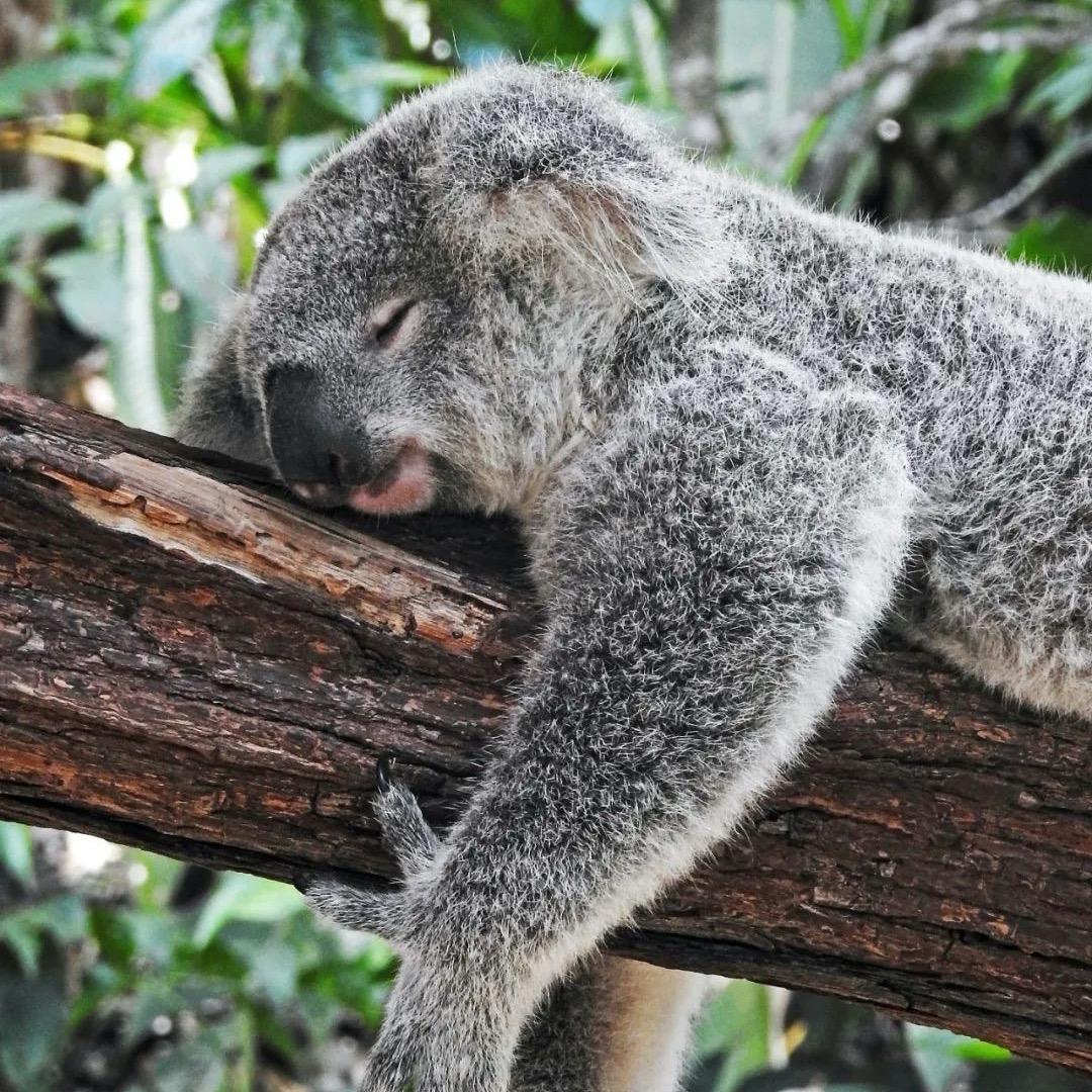 时间煮雨我煮饭