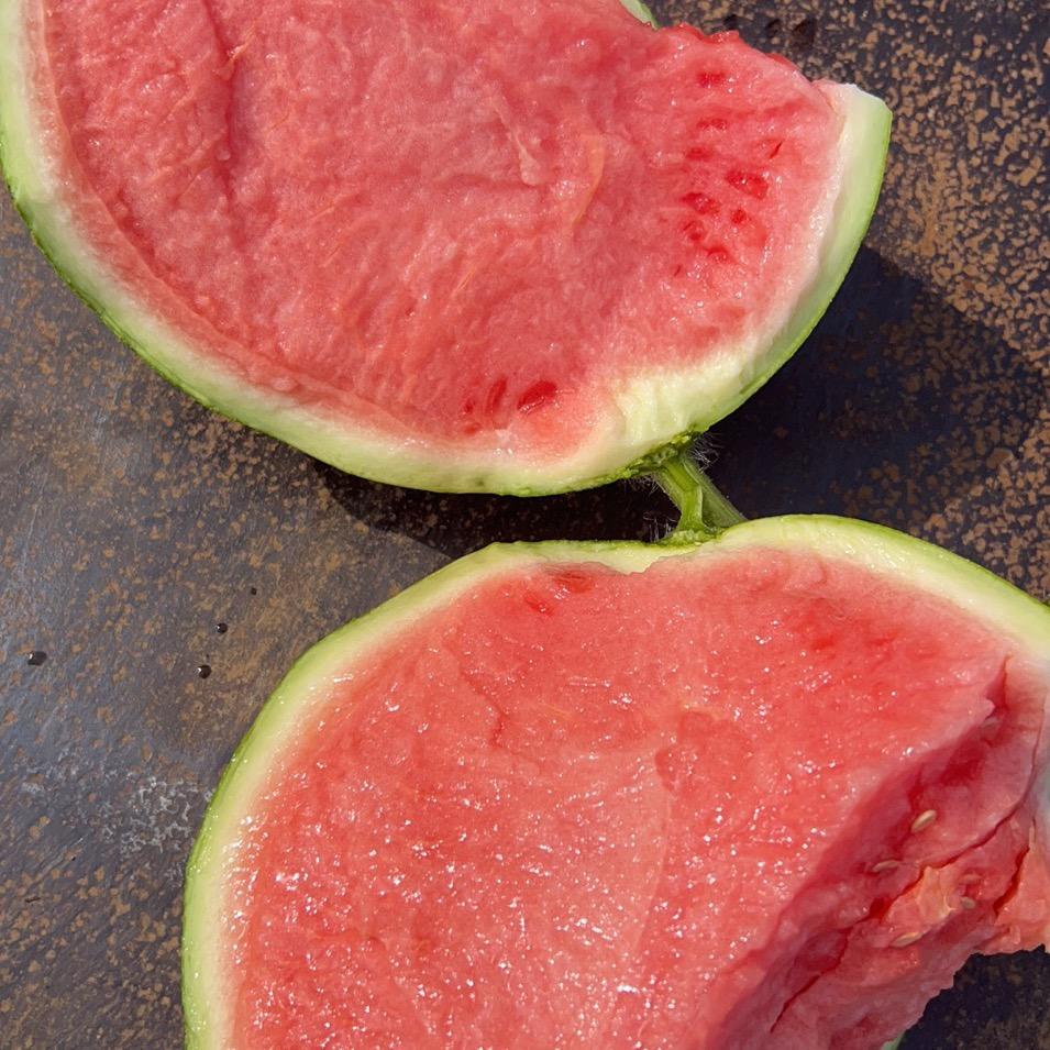 西瓜小胖。🍉🍉🍉