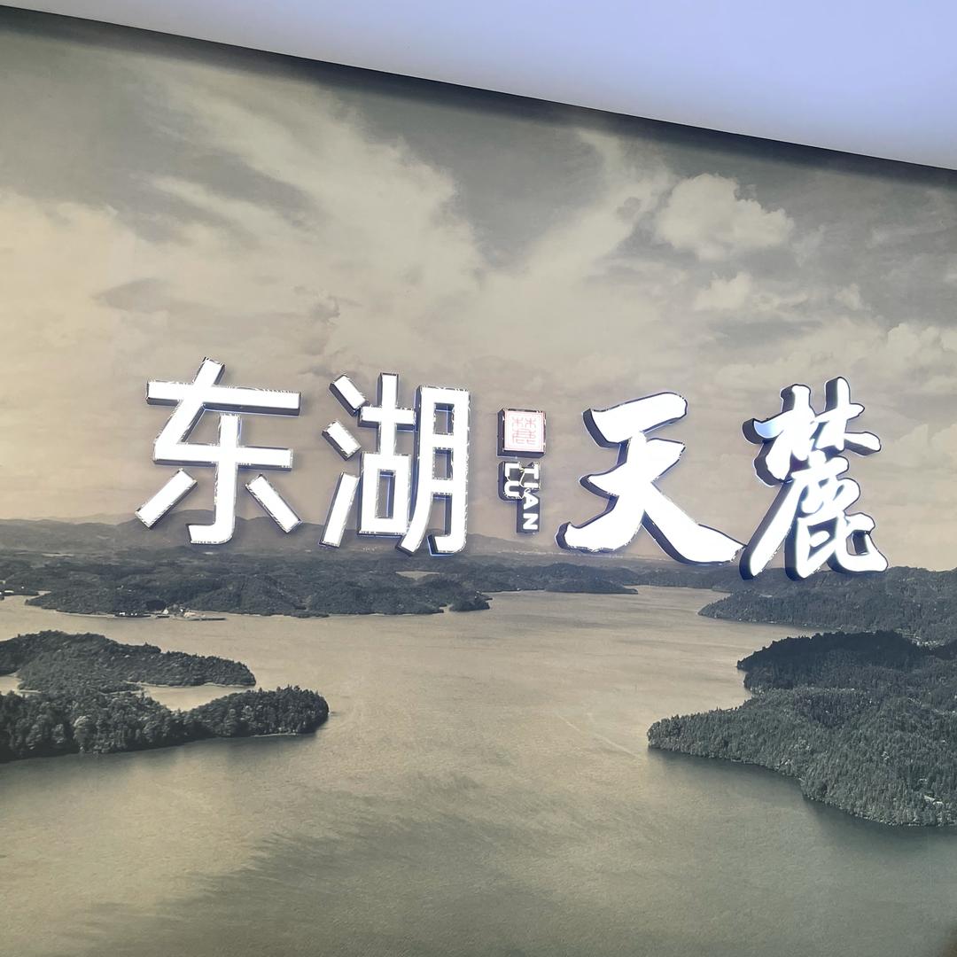 东湖.天麓