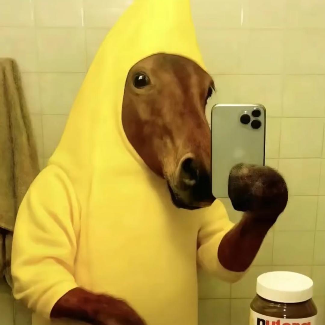 熙熙
