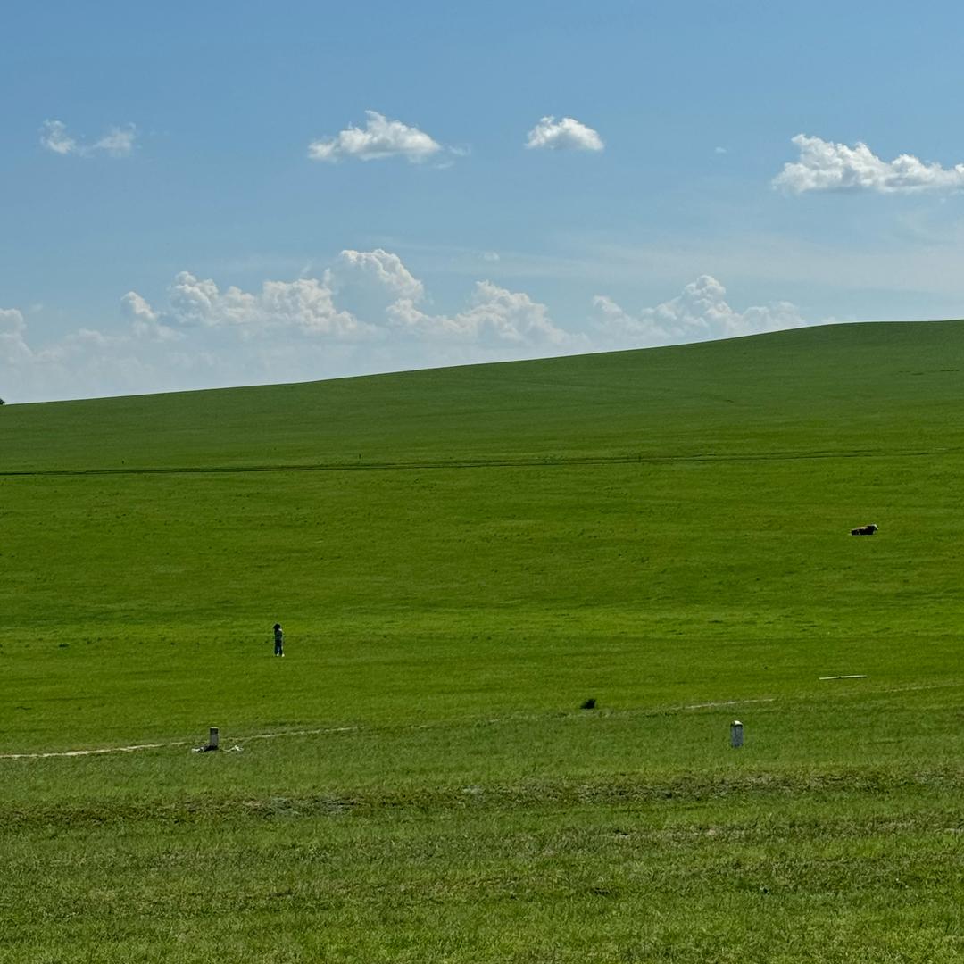 莱奥体育运动服饰