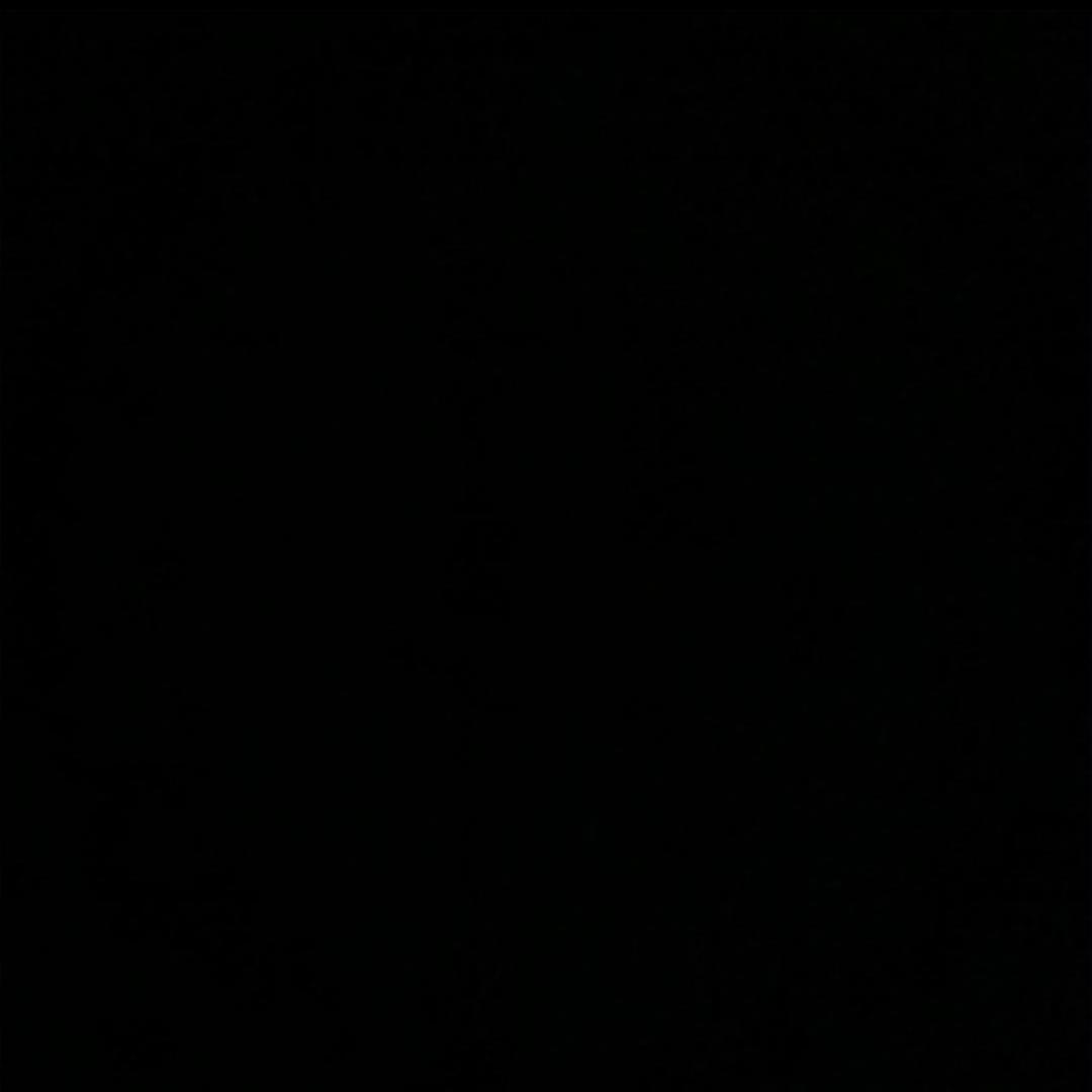 爱不爱都可以