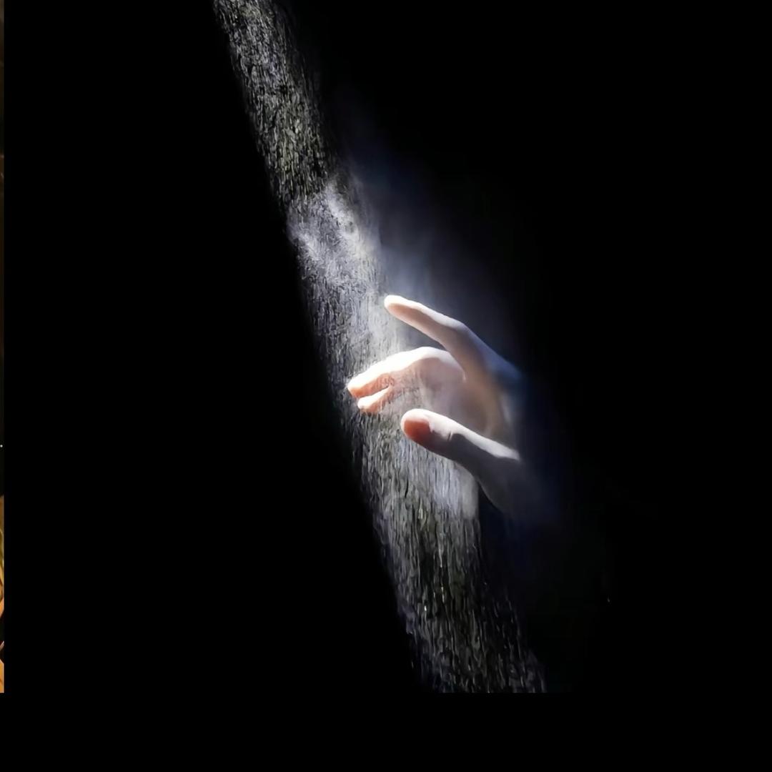 M-Y