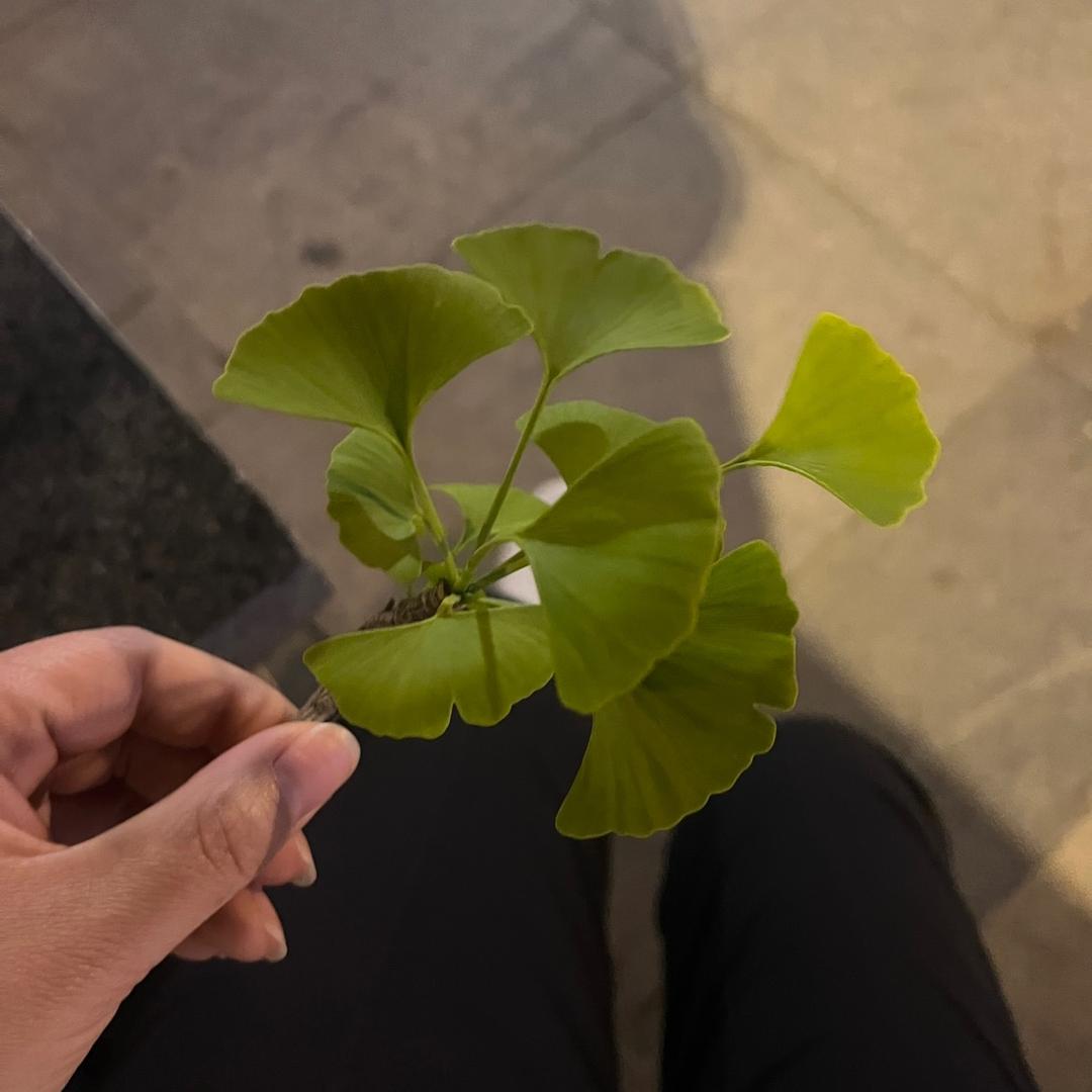 贵卓精选个体店