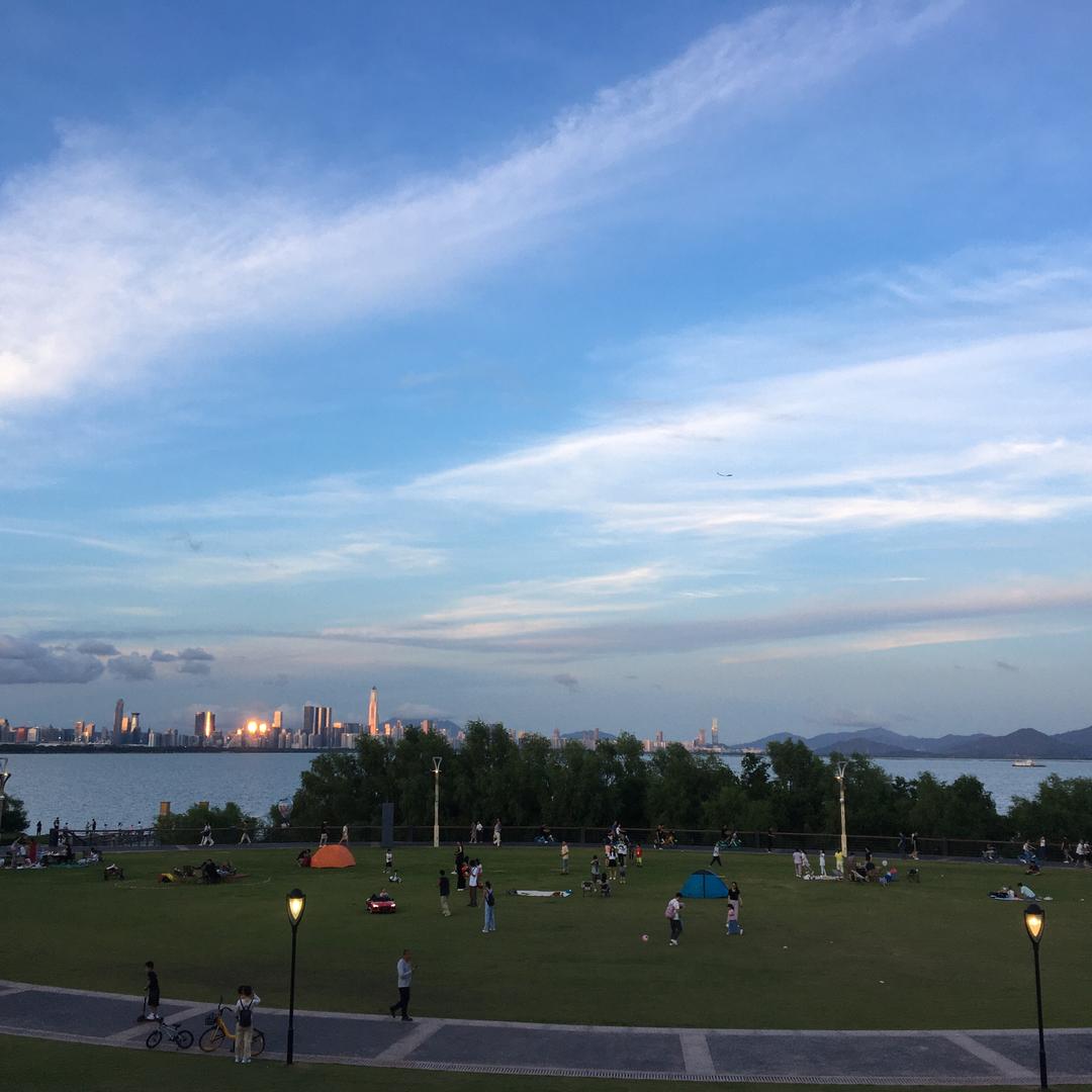 是蔡不是菜