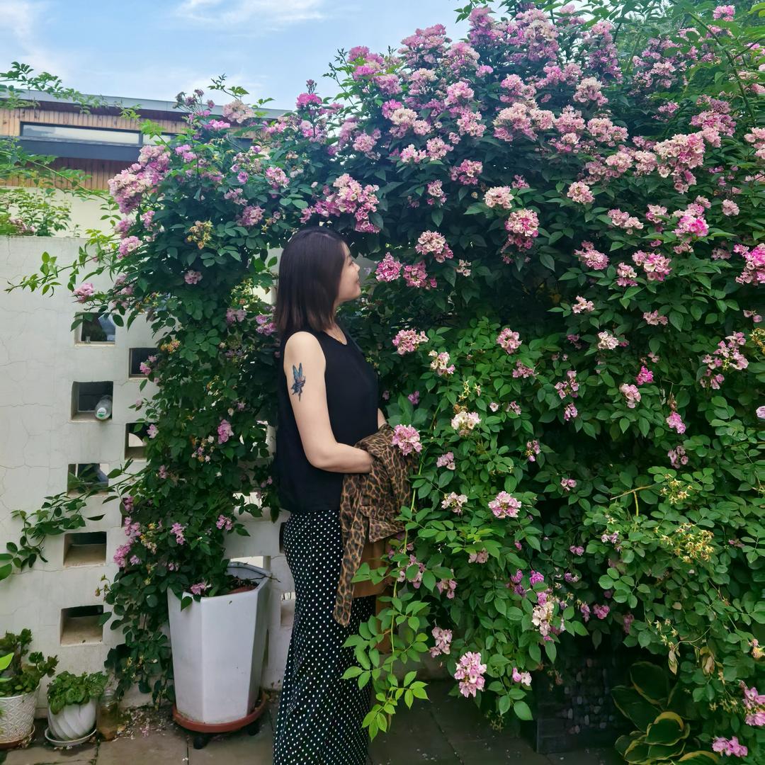 ღ᭄ꦿ꯭ঞ燕姐ღ᭄ꦿ꯭ঞ[连赞拉黑]