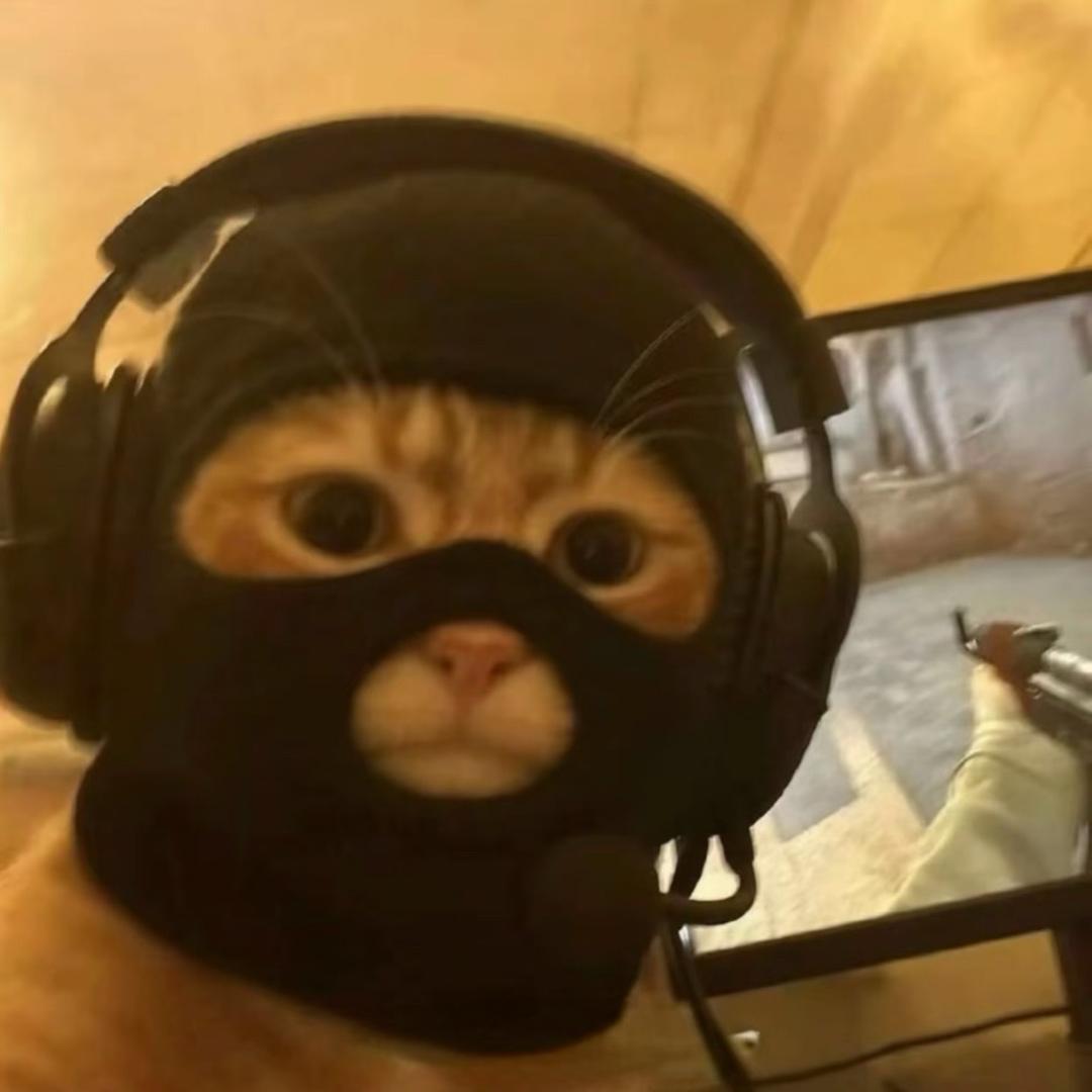 Miko（被激怒的雄狮）