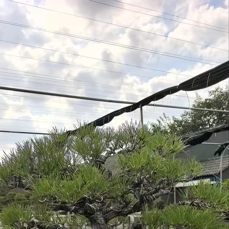 慈溪万特立沥青铺设