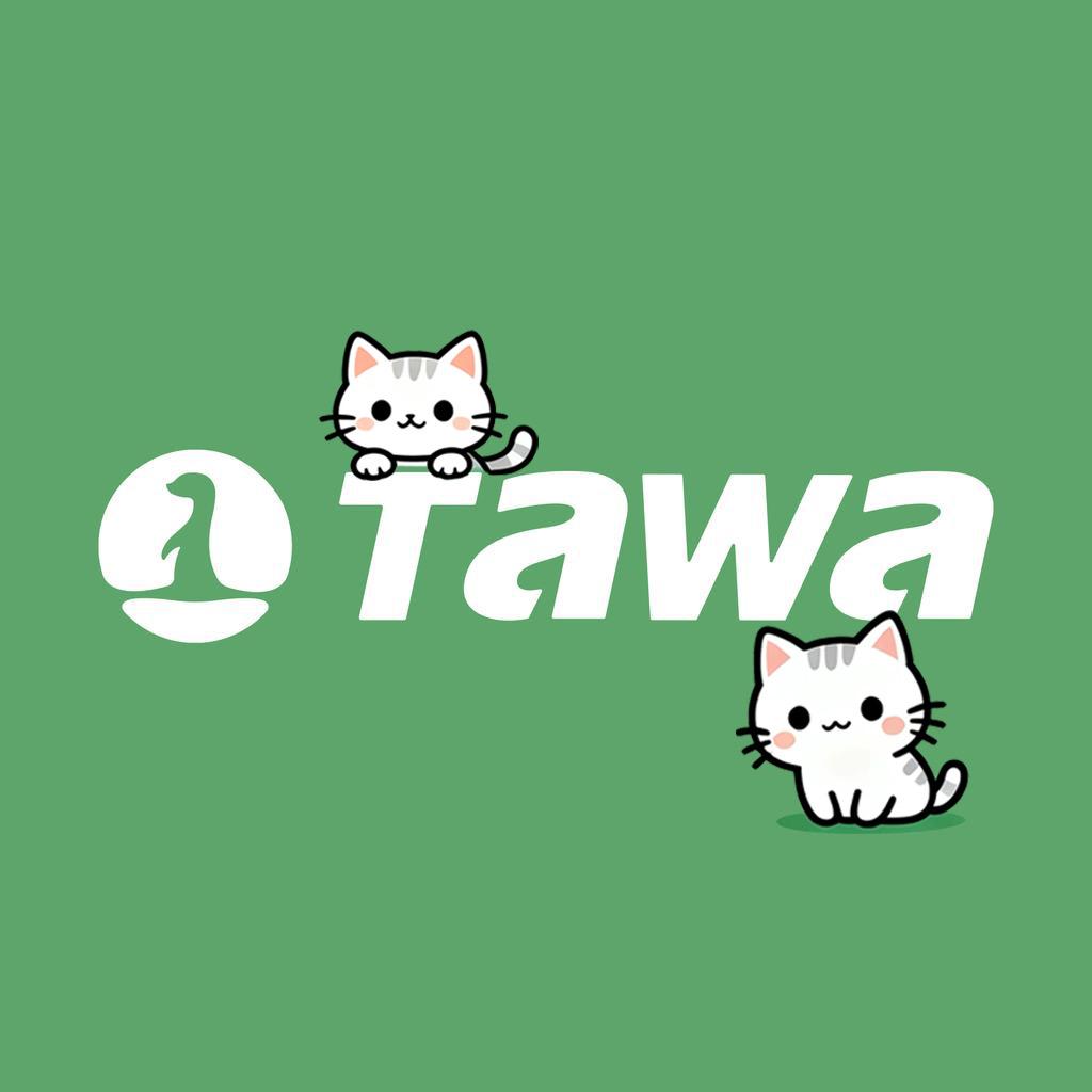TAWA户外旗舰店