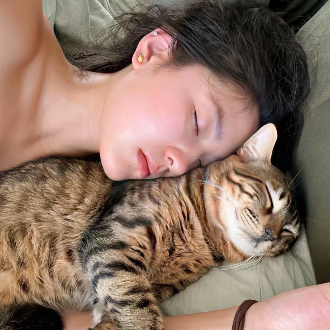 爱吃猕猴桃