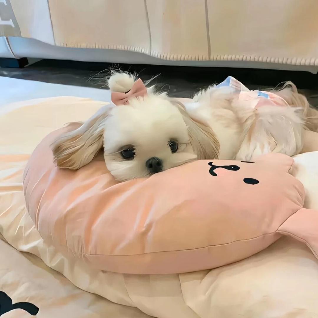 生煎包
